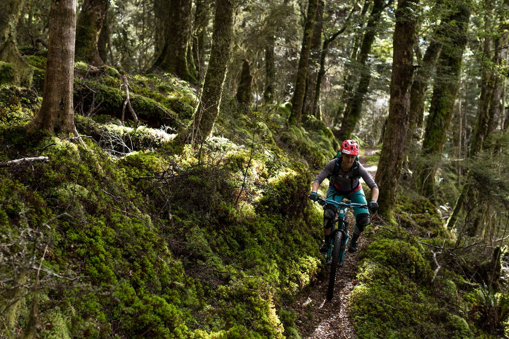 Trail Fund NZ distributes $75,000 to trails around New Zealand